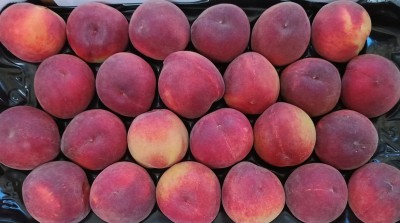 Foto Pesche Rosse Varietà Sugar Time Calibro 24 Origine Italia Marchio Sant'Andrea 2