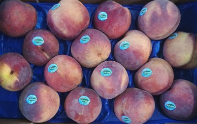 Foto Pesche Rosse A Pasta Gialla Calibro 16 Origine Italia Marchio Valfrutta              2