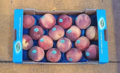 Foto Pesche Rosse A Pasta Gialla Calibro 16 Origine Italia Marchio Valfrutta              3