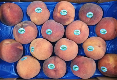 Foto Pesche Rosse Varietà Royal Summer Calibro 16 Origine Italia Marchio Valfrutta 2