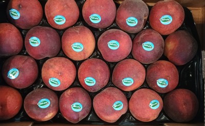 Foto Pesche Rosse Varietà Pasta Gialla Calibro 18 Origine Italia Marchio Valfrutta           2