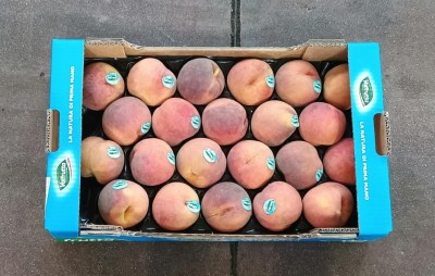 Foto Pesche Rosse Varietà Corindon Calibro 22 Origine Italia Marchio Valfrutta 3