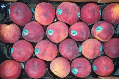 Foto Pesche Rosse Varietà Sugar Time Calibro 20 Origine Italia Marchio Valfrutta  2
