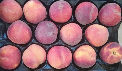 Foto Pesche Rosse A Pasta Gialla Calibro 14 Origine Spagna Marchio Oki 2