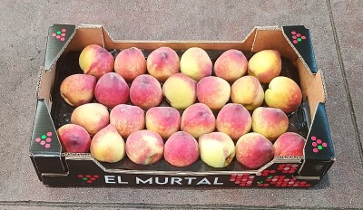 Foto Pesche Varietà Astoria Calibro 26 Origine Spagna Marchio El Murtal 1