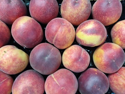 Foto Pesche Rosse a Pasta Gialla Calibro 18 Origine Italia Marchio Pirozzi	              2