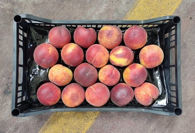Foto Pesche Rosse a Pasta Gialla Calibro 18 Origine Italia Marchio Pirozzi	              3