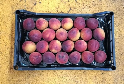 Foto Pesche Rosse a Pasta Gialla Calibro 24 Origine Italia Marchio Pirozzi	   3