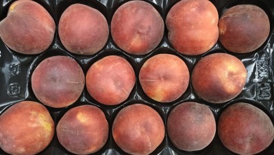 Foto Pesche Rosse Varietà Royal Summer Calibro 14 Origine Italia Marchio Verde Piu 2