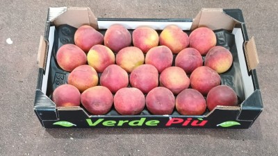 Foto Pesche Rosse Varietà Pampana Calibro 22 Origine Italia Marchio Verde Piu 1