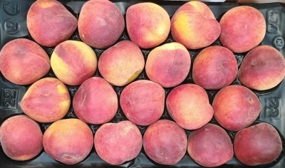 Foto Pesche Rosse Varietà Pampana Calibro 22 Origine Italia Marchio Verde Piu 2