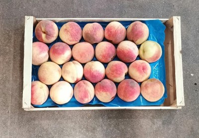 Foto Pesche Gialle Calibro 20/22 Origine Italia Marchio Maglione         1
