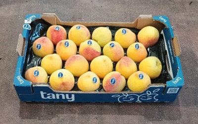 Foto Pesche Gialle Varietà Percoche Calibro 20 Origine Spagna Marchio Tany  1
