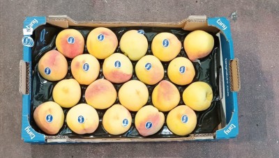 Foto Pesche Gialle Varietà Percoche Calibro 20 Origine Spagna Marchio Tany  3