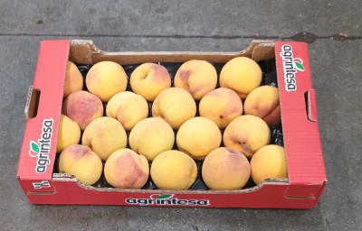 Foto Pesche Gialle Varietà Percoche Calibro 20 Origine Italia Marchio Agrintesa 1