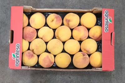 Foto Pesche Gialle Varietà Percoche Calibro 20 Origine Italia Marchio Agrintesa 3