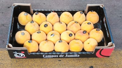 Foto Pesche Gialle Varietà Catherina Calibro A22 Origine Spagna Marchio Campos De Jumilla      1
