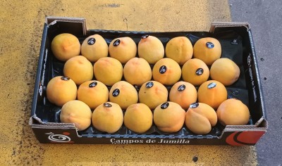 Foto Pesche Gialle Varietà Percoche Calibro A22 Origine Spagna Marchio Campos De Jumilla 1