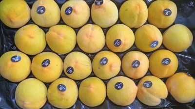 Foto Pesche Gialle Varietà Percoche Calibro A22 Origine Spagna Marchio Campos De Jumilla 2