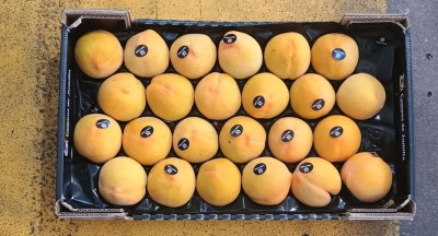 Foto Pesche Gialle Varietà Percoche Calibro A22 Origine Spagna Marchio Campos De Jumilla 3