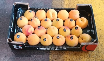 Foto Pesche Gialle Varietà Grocivac Calibro 22 Origine Spagna Marchio Campos De Jumilla  1