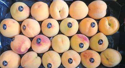 Foto Pesche Gialle Varietà Grocivac Calibro 22 Origine Spagna Marchio Campos De Jumilla  2