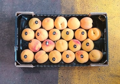 Foto Pesche Gialle Varietà Grocivac Calibro 22 Origine Spagna Marchio Campos De Jumilla  3