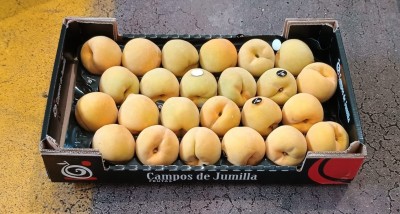 Foto Pesche Gialle Varietà Cinca Calibro A24 Origine Spagna Marchio Campos De Jumilla  1