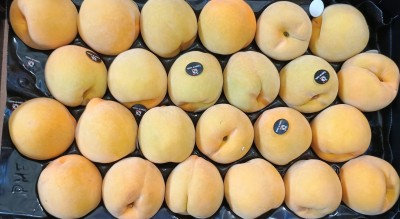 Foto Pesche Gialle Varietà Cinca Calibro A24 Origine Spagna Marchio Campos De Jumilla  2