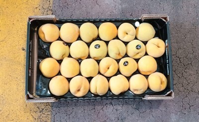 Foto Pesche Gialle Varietà Cinca Calibro A24 Origine Spagna Marchio Campos De Jumilla  3