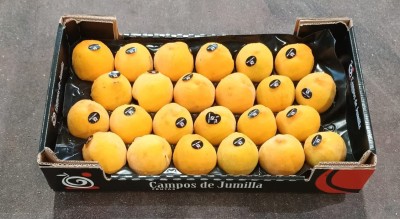 Foto Pesche Gialle Varietà Romea Bolsa Calibro A24 Origine Spagna Marchio Campos De Jumilla 1