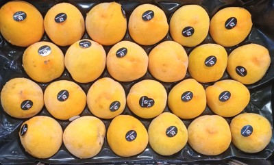 Foto Pesche Gialle Varietà Romea Bolsa Calibro A24 Origine Spagna Marchio Campos De Jumilla 2