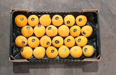 Foto Pesche Gialle Varietà Romea Bolsa Calibro A24 Origine Spagna Marchio Campos De Jumilla 3