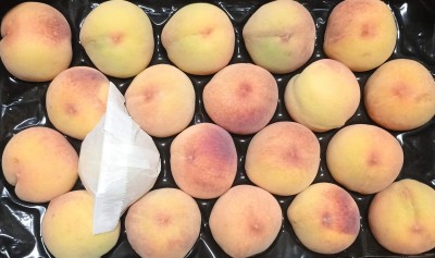 Foto Pesche Gialle Varietà Percoche Calibro 20 Origine Italia Marchio Magalia 2