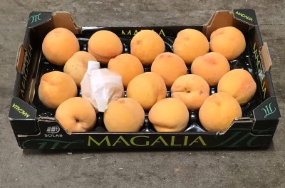 Foto Pesche Gialle Varietà Percoche Calibro A18 Origine Spagna Marchio Magalia  1