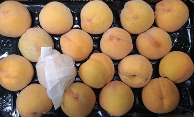 Foto Pesche Gialle Varietà Percoche Calibro A18 Origine Spagna Marchio Magalia  2
