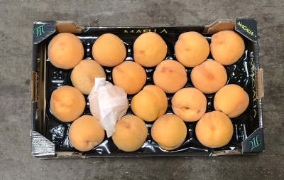 Foto Pesche Gialle Varietà Percoche Calibro A18 Origine Spagna Marchio Magalia  3