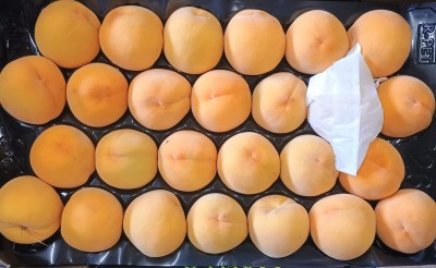 Foto Pesche Gialle Varietà Romea Bolsa Calibro A26 Origine Spagna Marchio Magalia  2