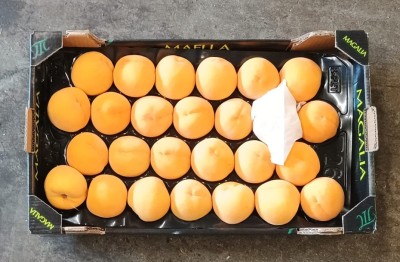 Foto Pesche Gialle Varietà Romea Bolsa Calibro A26 Origine Spagna Marchio Magalia  3