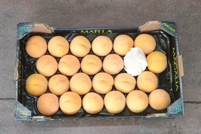 Foto Pesche Gialle Varietà Percoche Calibro A24 Origine Spagna Marchio Magalia  3