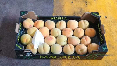 Foto Pesche Gialle Varietà Romea Bolsa Calibro A24 Origine Spagna Marchio Magalia  1