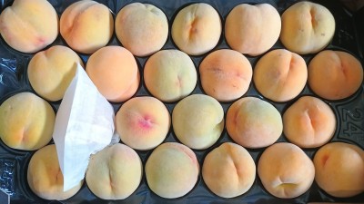 Foto Pesche Gialle Varietà Romea Bolsa Calibro A24 Origine Spagna Marchio Magalia  2