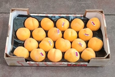 Foto Pesche Gialle Varietà Argos Calibro A20 Origine Spagna Marchio Lica  1