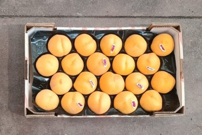 Foto Pesche Gialle Varietà Argos Calibro A20 Origine Spagna Marchio Lica  3