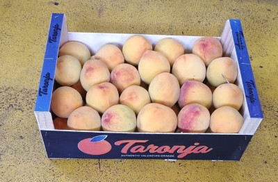 Foto Pesche Gialle Varietà Yellowstone Calibro 70+ Origine Spagna Marchio Taronja    1