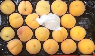 Foto Pesche Gialle Varietà Percoche Calibro A18 Origine Spagna Marchio Mazaleon      2