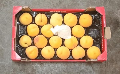Foto Pesche Gialle Varietà Percoche Calibro A18 Origine Spagna Marchio Mazaleon      3