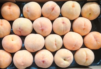 Foto Pesche Gialle Varietà Romea Calibro A20 Origine Spagna Marchio Diez 2