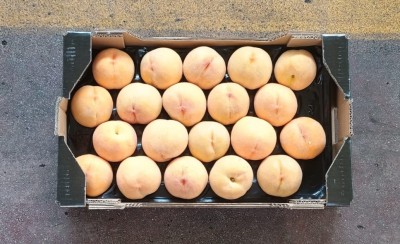 Foto Pesche Gialle Varietà Pavoro Calibro A20 Origine Spagna Marchio Diez 3