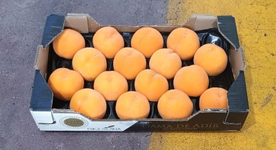 Foto Pesche Gialle Varietà Romea Calibro A16 Origine Spagna Marchio Diez 1